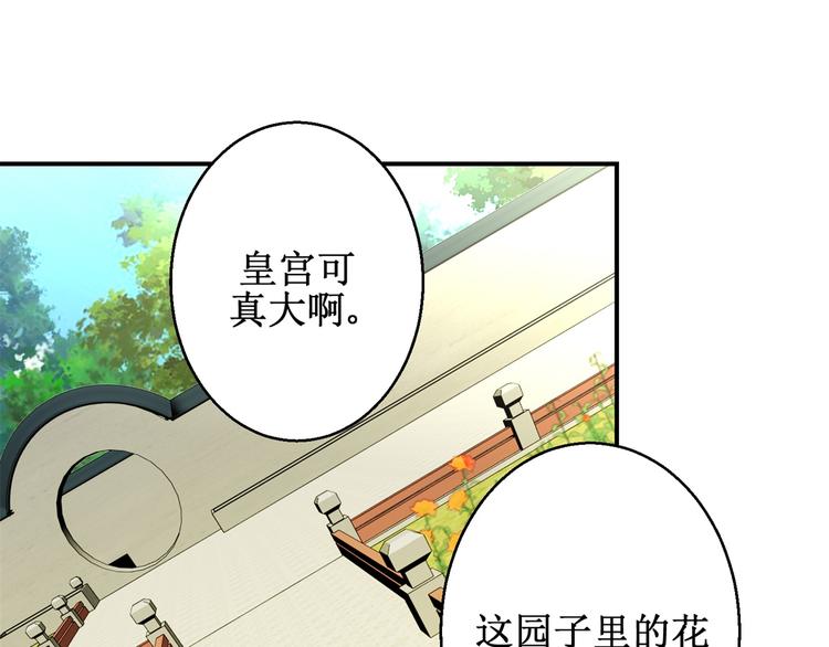 《驯妃记》第15话 卖惨失败 第34页