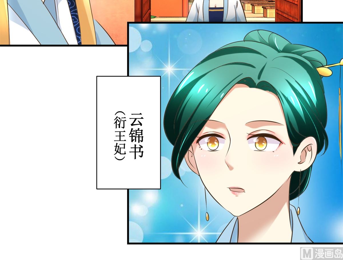 《驯妃记》第69话 王妃锦书 第13页