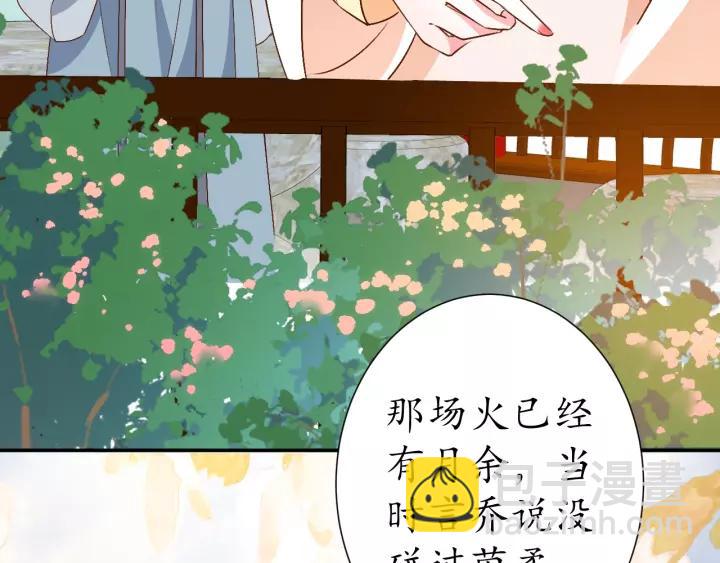 《盛世梨花殿》第69话 孩子不是太子的？?? 第47页