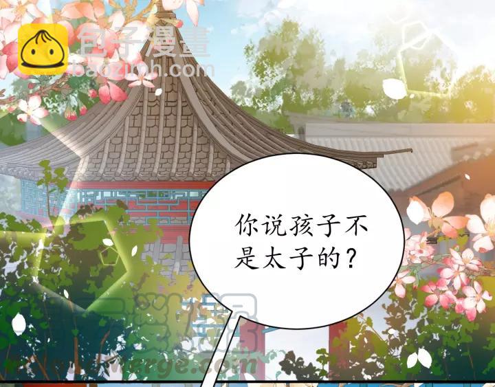 《盛世梨花殿》第69话 孩子不是太子的？?? 第6页