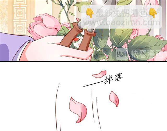 《盛世梨花殿》第79话 猪头女二 第33页
