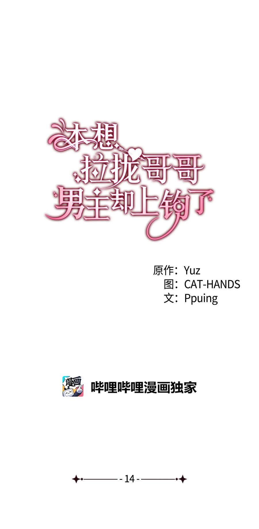 《本想拉拢哥哥，男主却上钩了》14 公主的绯闻 第14页