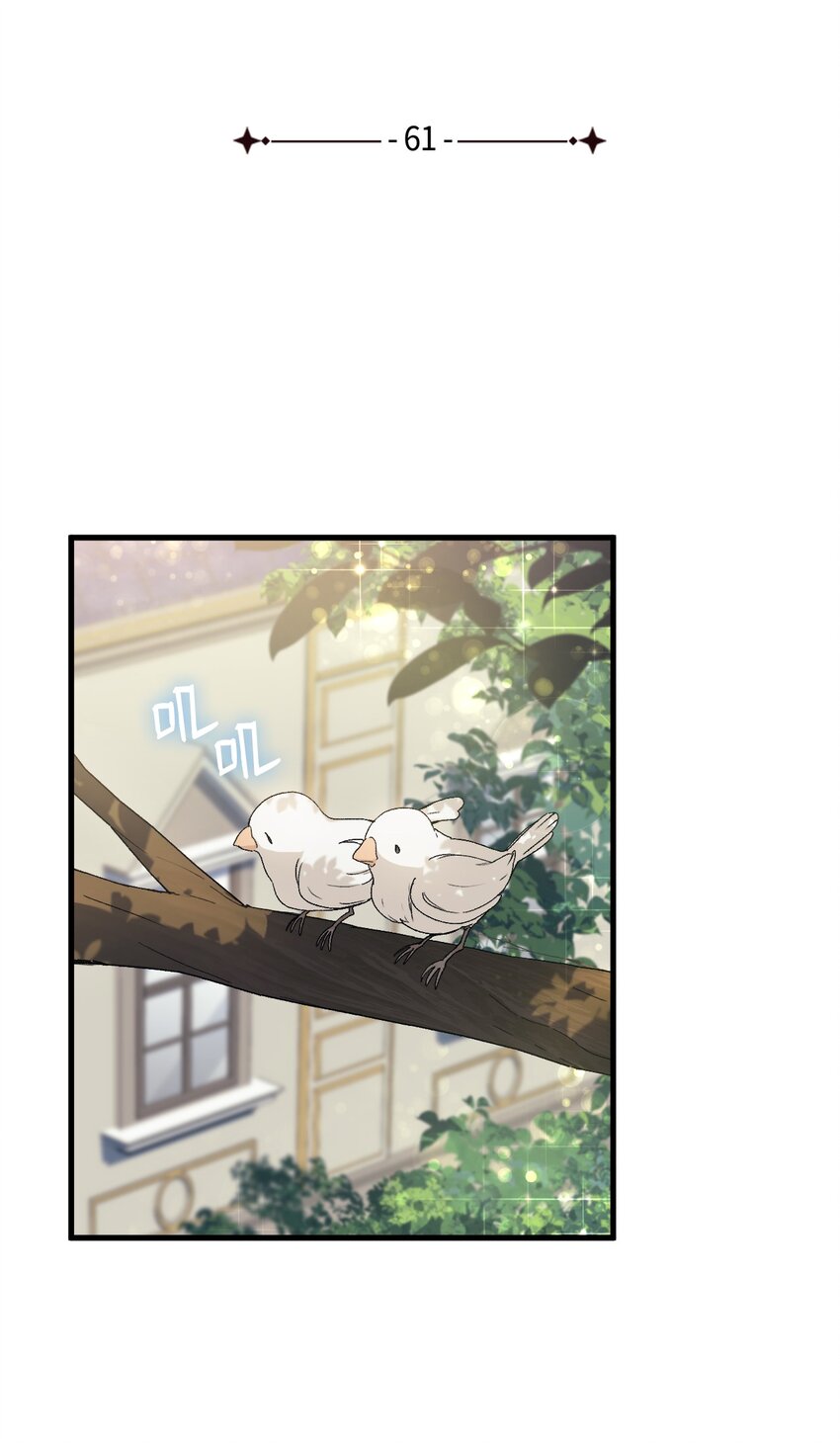 《本想拉拢哥哥，男主却上钩了》61 回归平静的生活 第4页