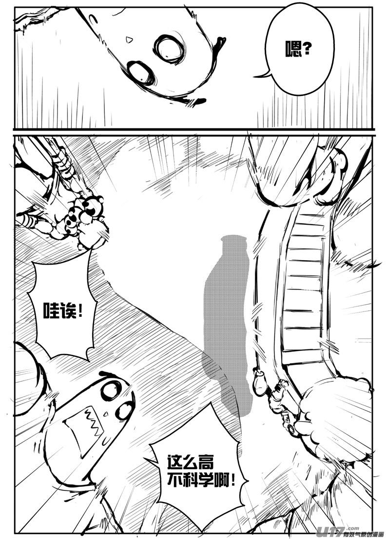 《熊猫手札》大札记-第二十四札 第6页