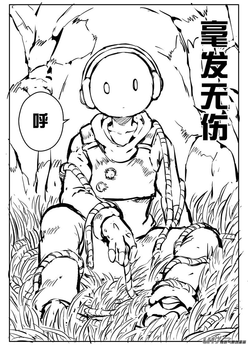 《熊猫手札》大札记-第二十九札 第12页