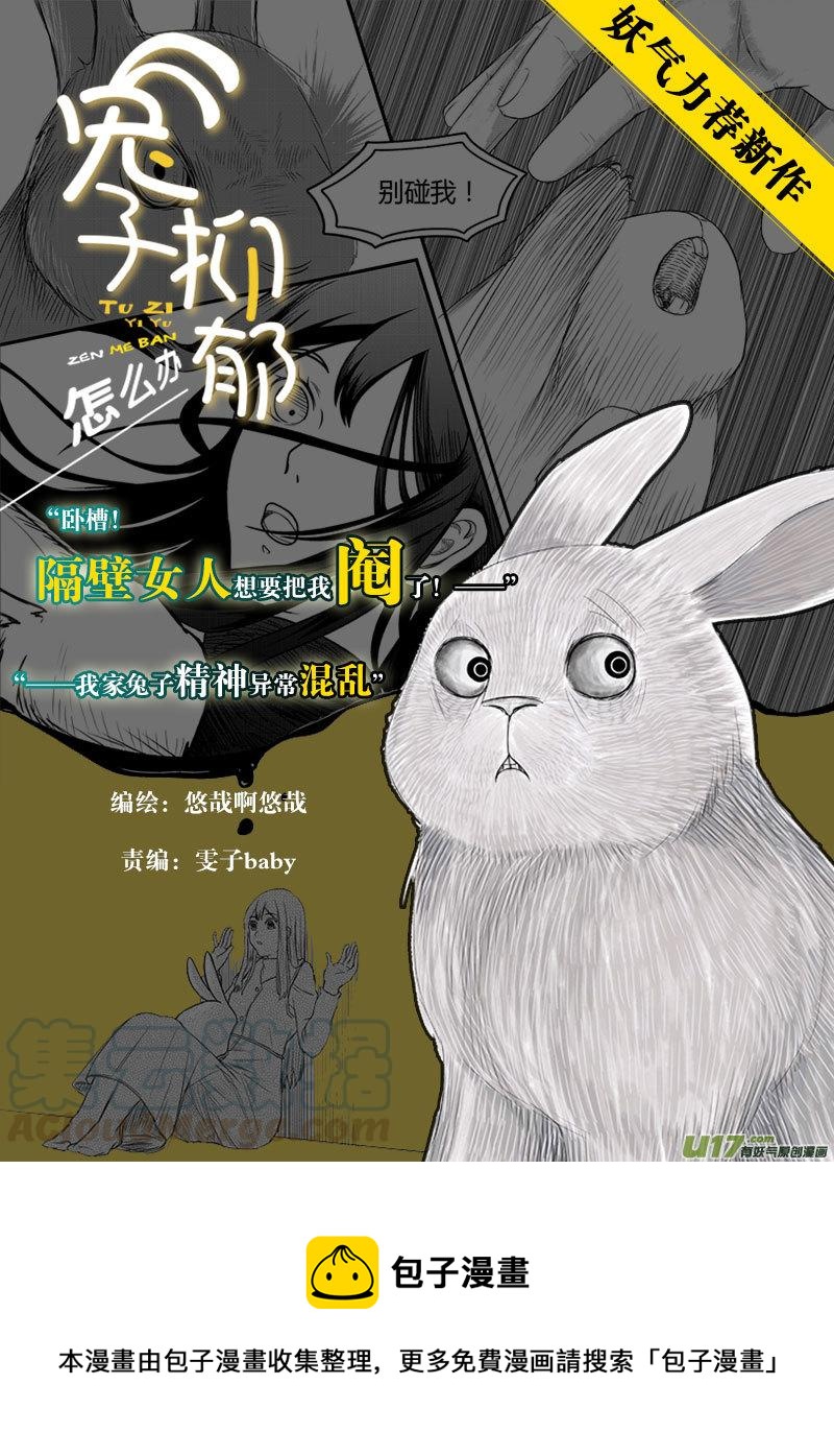 《熊猫手札》大札记-第三十五札 第17页