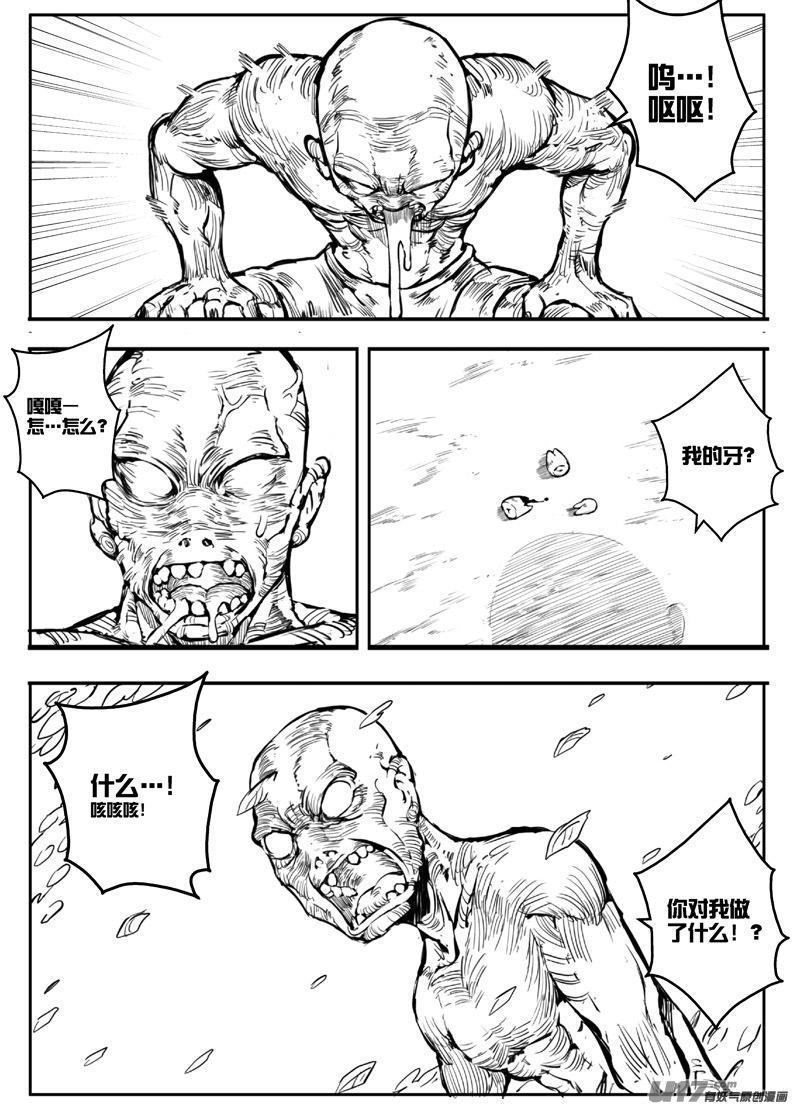 《熊猫手札》大札记-第四十札 第11页