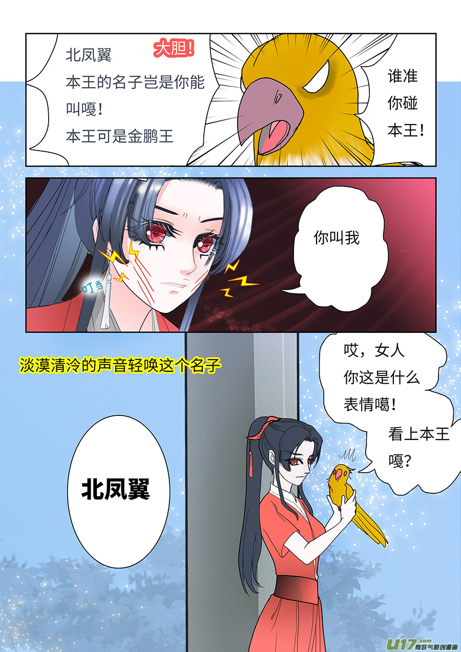 《重生之—仙渊》124 新章 遇 见 第8页