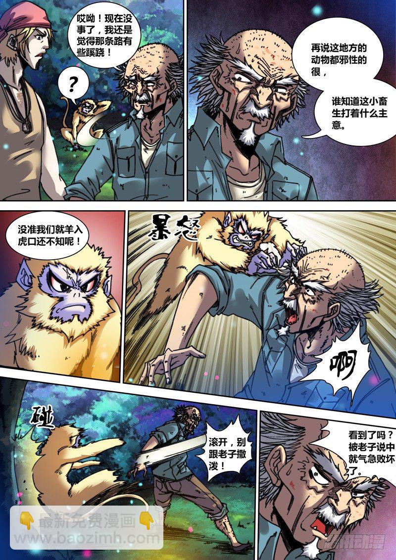 《盗墓迷影》第二十六章 猴子 第8页