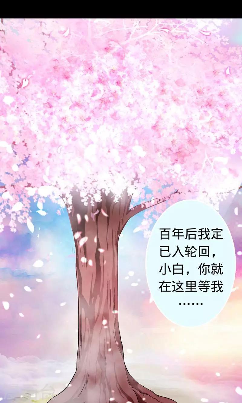 《诡嫁俏棺人》第33话 往生镜中的前世秘密 第20页
