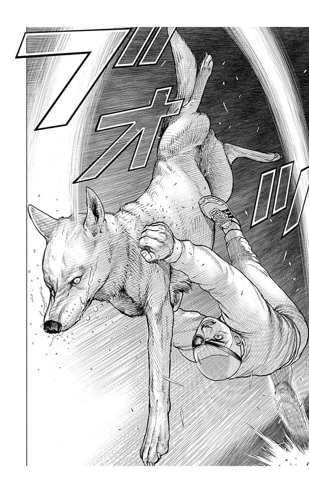 《TOUGH龙继承人》第195话 第10页