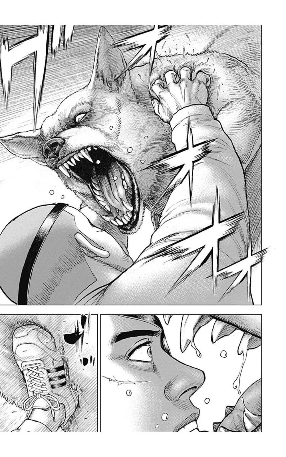 《TOUGH龙继承人》第195话 第9页