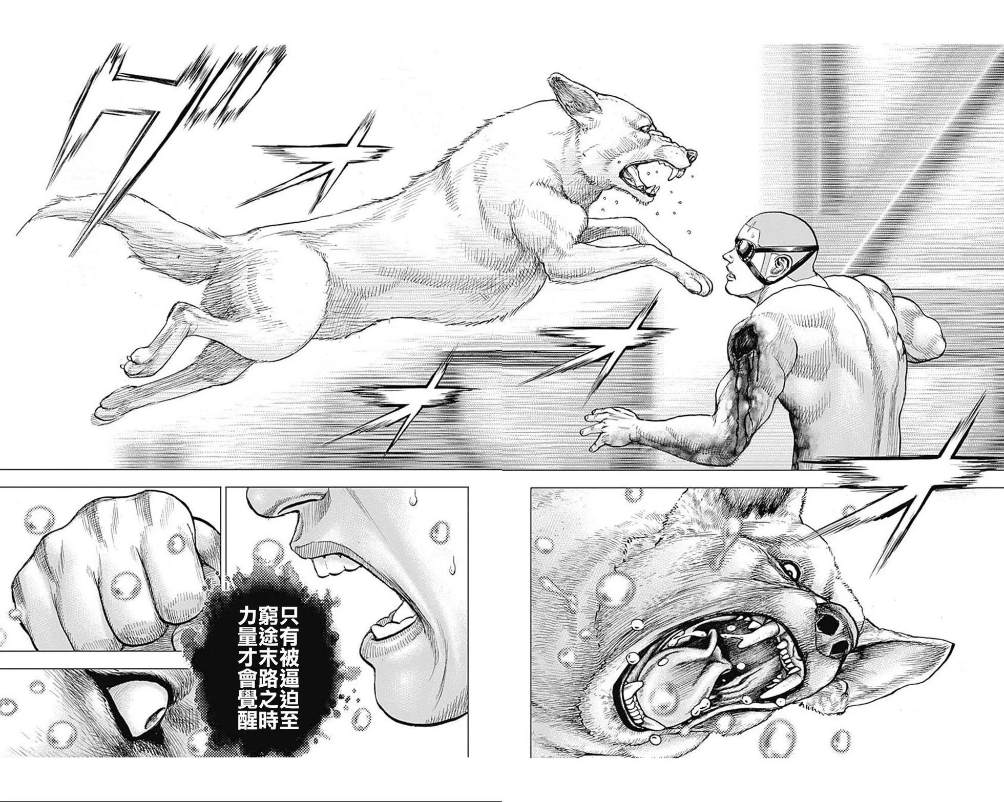 《TOUGH龙继承人》第196话 第13页