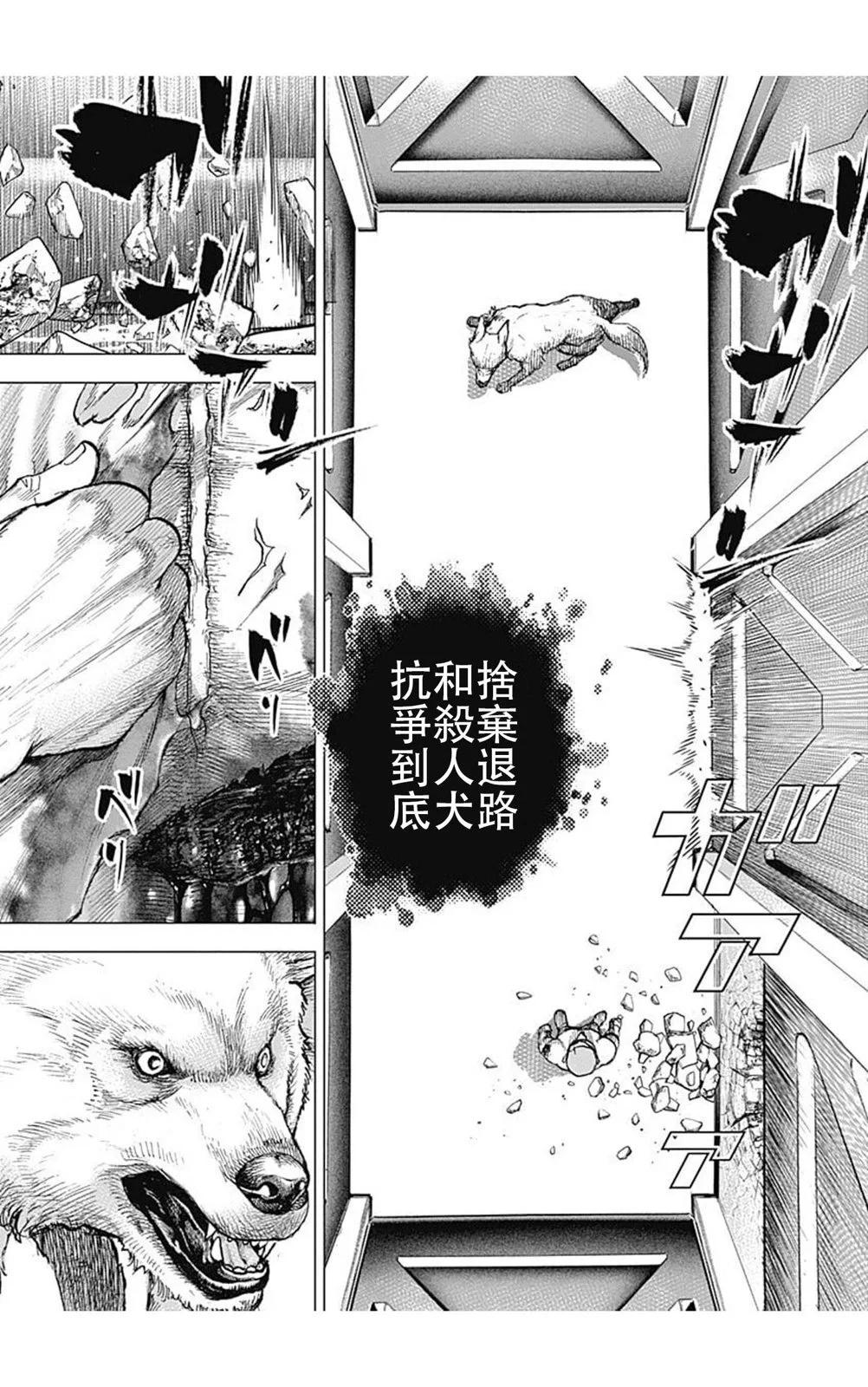 《TOUGH龙继承人》第196话 第9页
