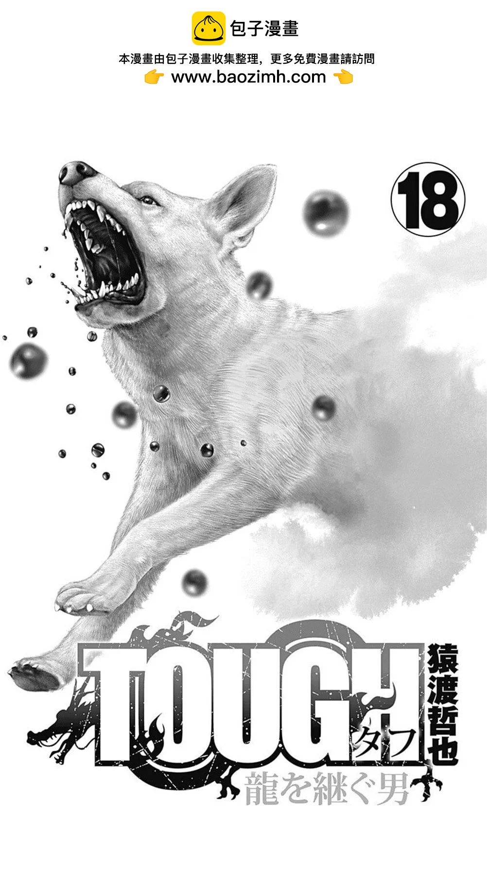 《TOUGH龙继承人》第204话 第2页