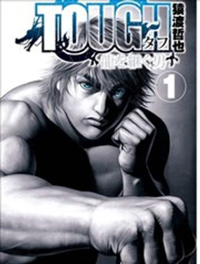 《TOUGH龙继承人》漫画封面图 - tl漫画