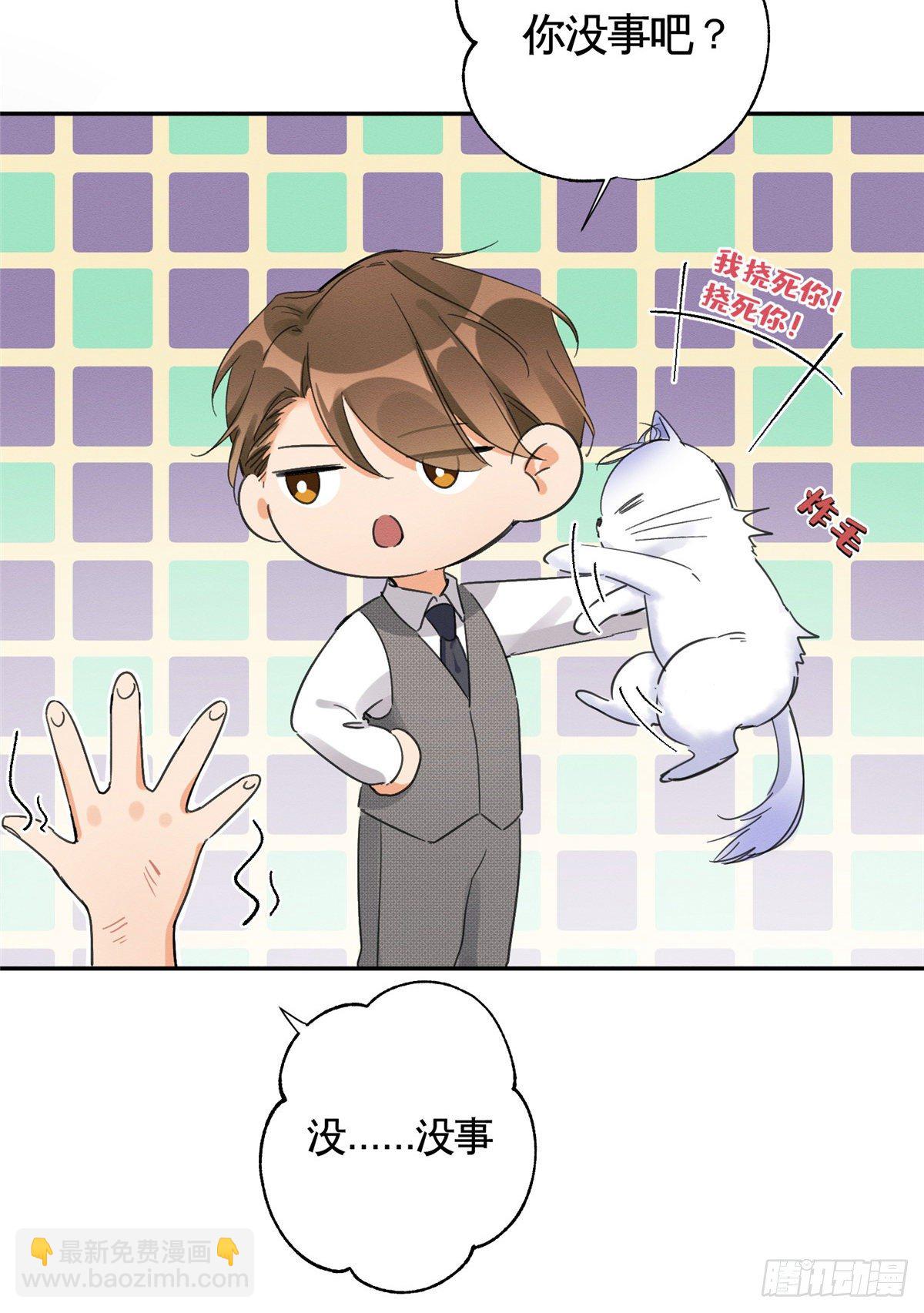 《今天也要努力当只猫》第3话 处理掉吧！ 第14页