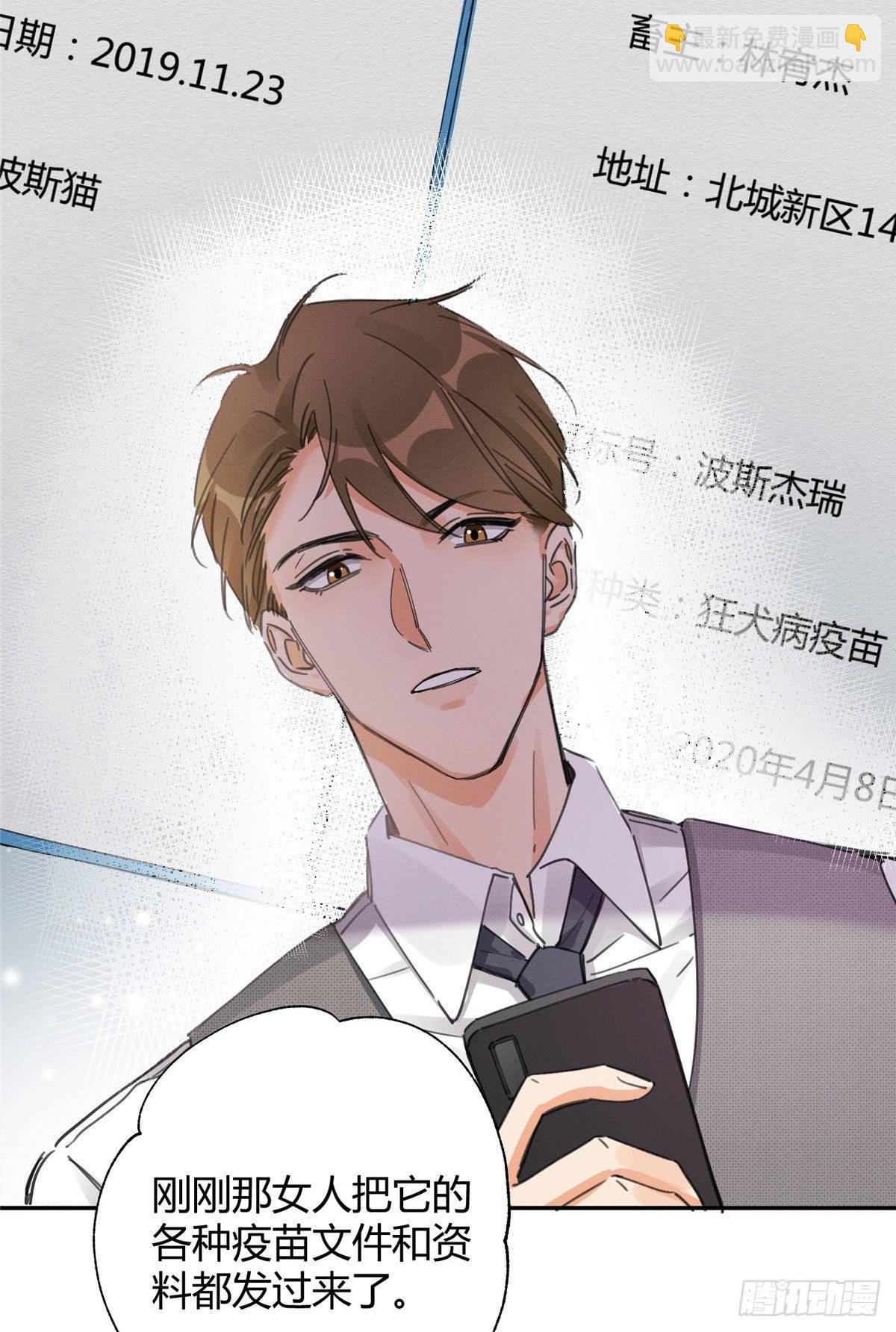 《今天也要努力当只猫》第3话 处理掉吧！ 第18页