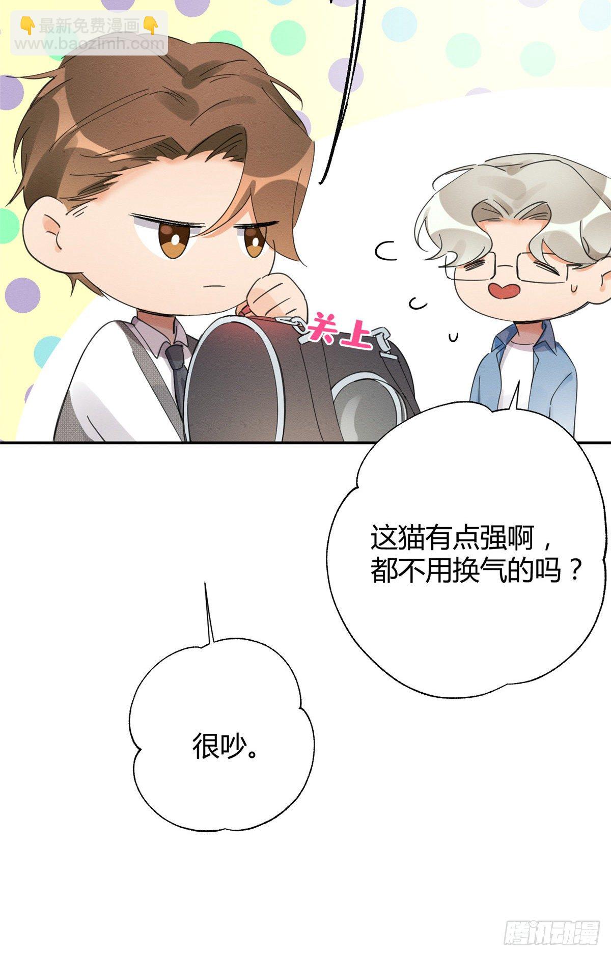 《今天也要努力当只猫》第3话 处理掉吧！ 第31页