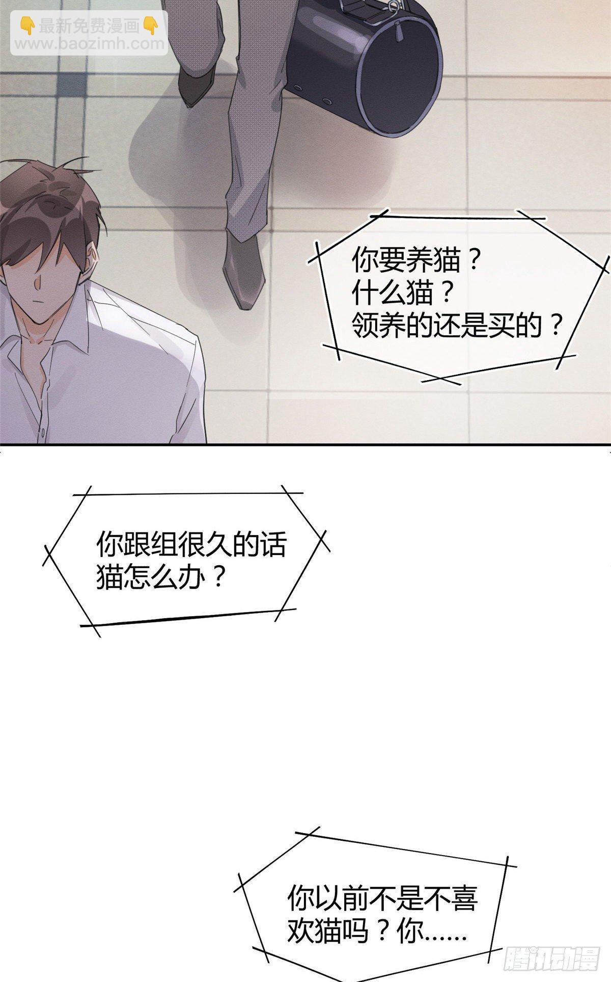 《今天也要努力当只猫》第3话 处理掉吧！ 第37页