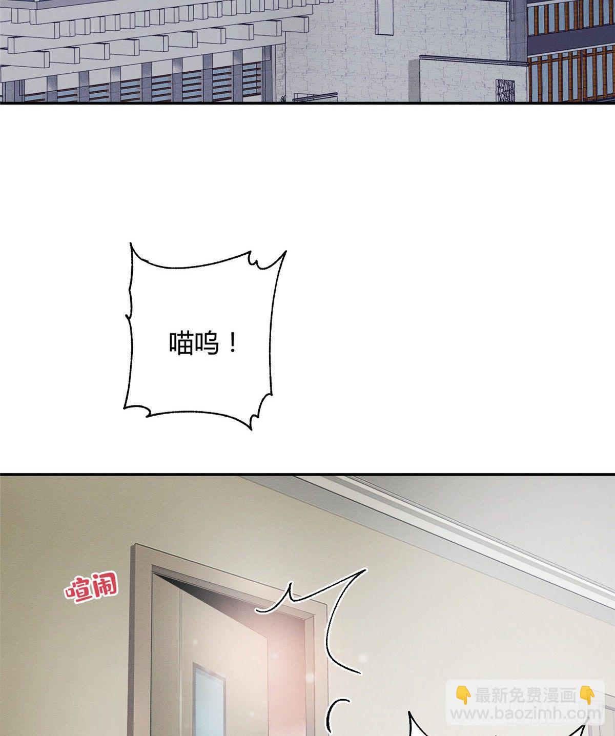 《今天也要努力当只猫》第3话 处理掉吧！ 第3页