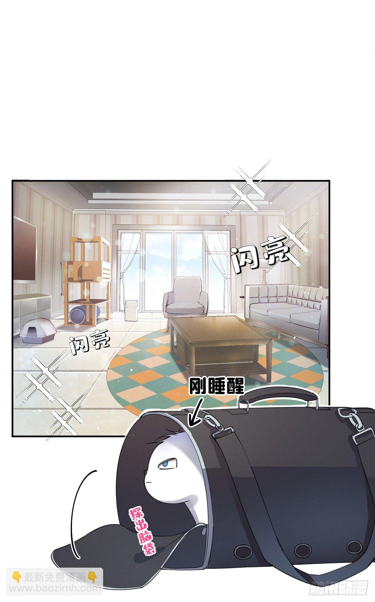 《今天也要努力当只猫》第3话 处理掉吧！ 第42页