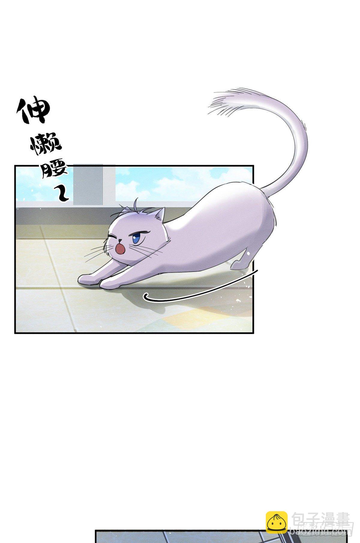 《今天也要努力当只猫》第3话 处理掉吧！ 第43页