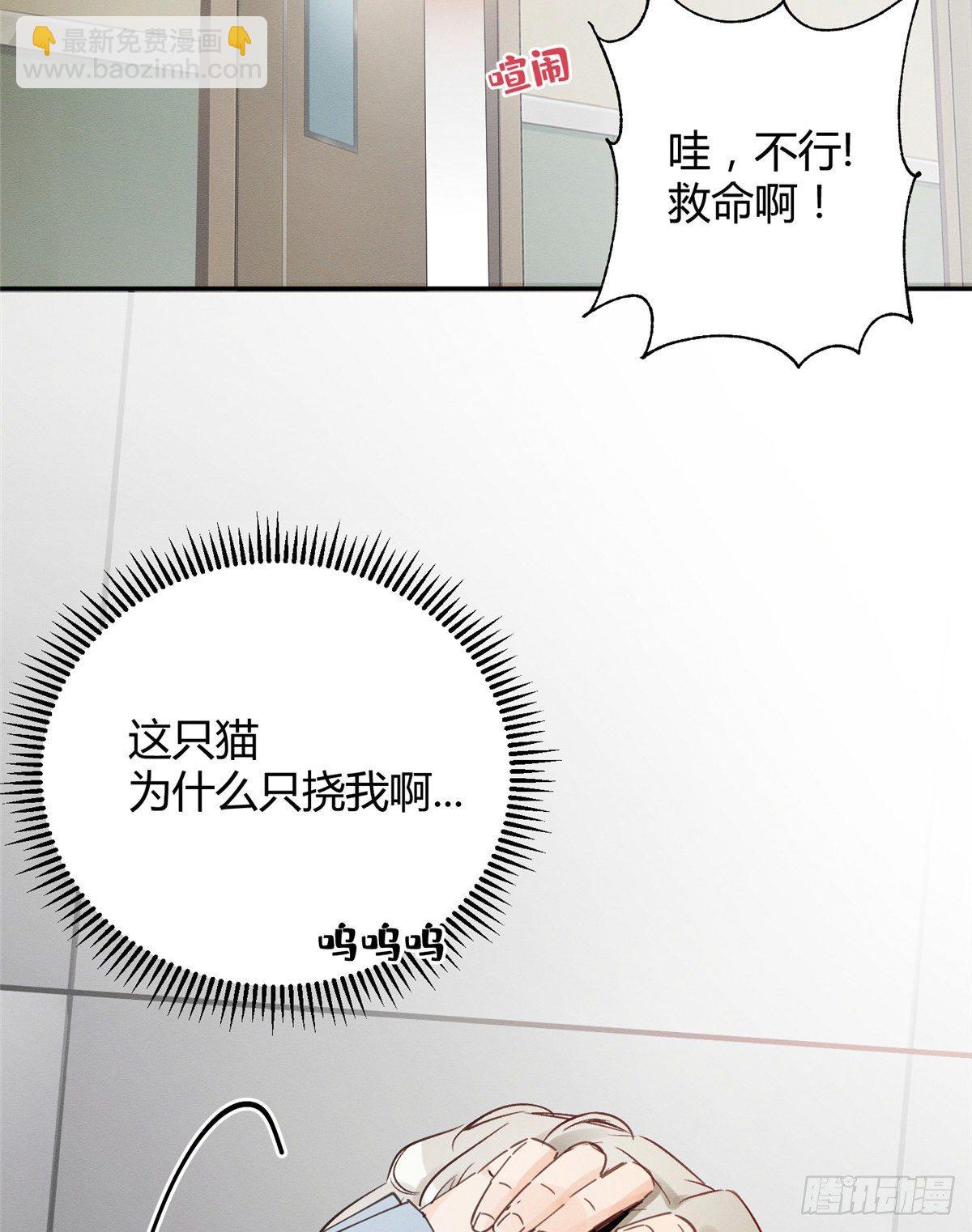 《今天也要努力当只猫》第3话 处理掉吧！ 第4页