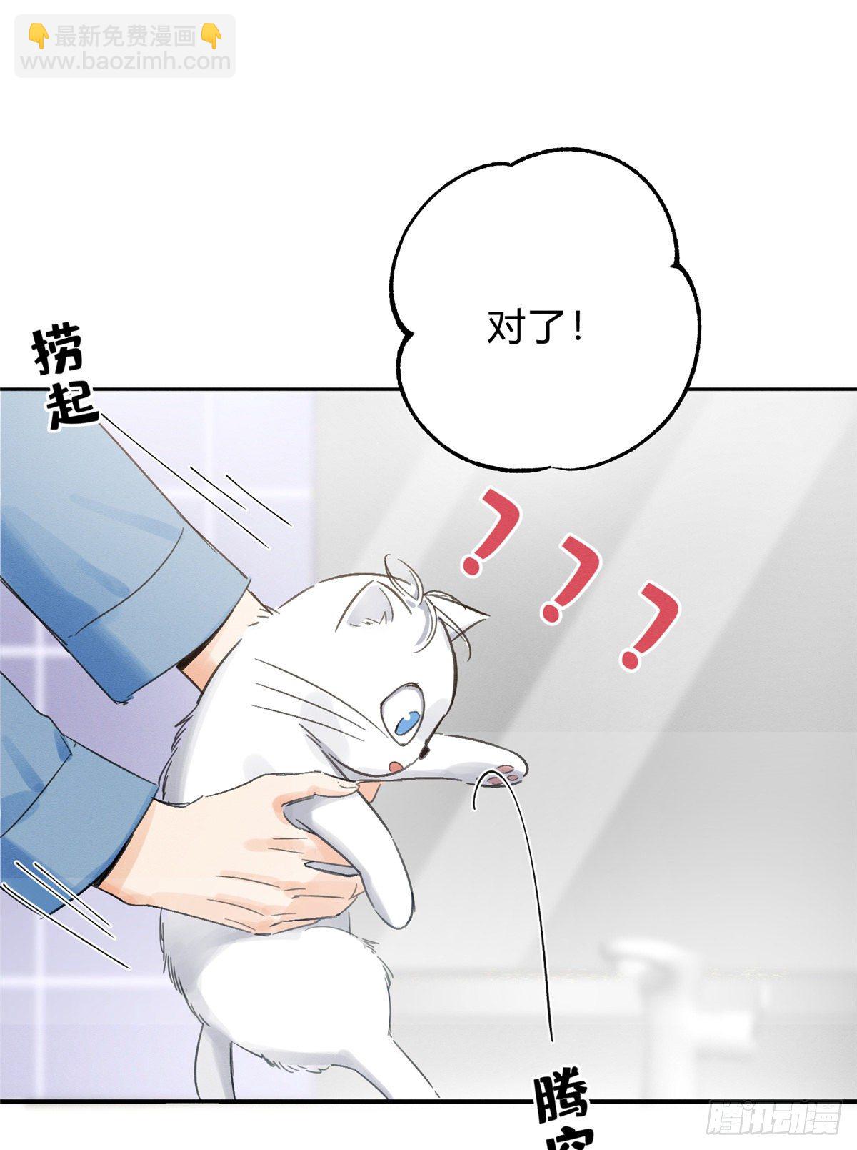 《今天也要努力当只猫》第2话 我来照顾他吧！ 第14页