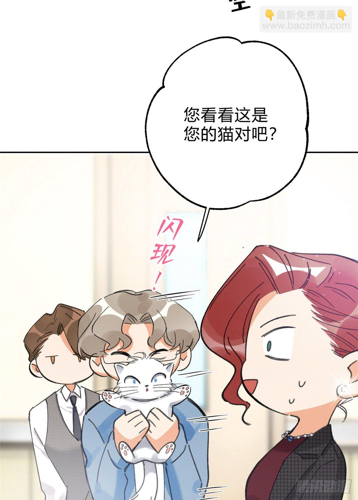 《今天也要努力当只猫》第2话 我来照顾他吧！ 第15页