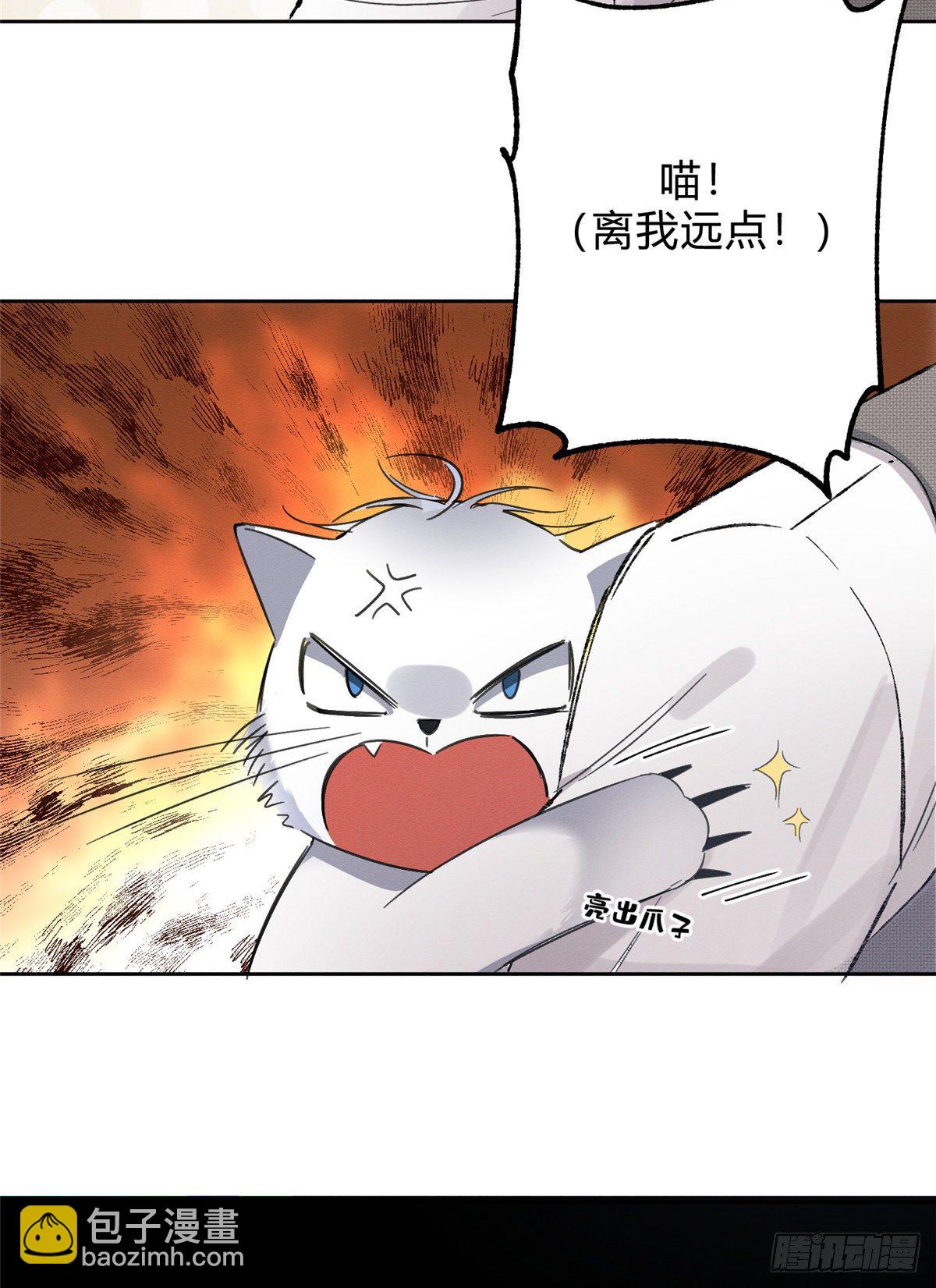 《今天也要努力当只猫》第2话 我来照顾他吧！ 第25页