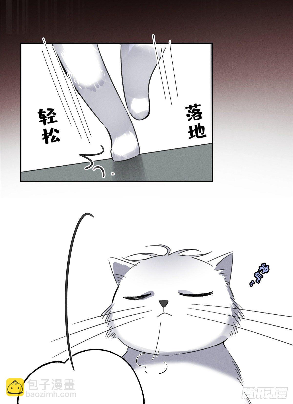 《今天也要努力当只猫》第2话 我来照顾他吧！ 第30页