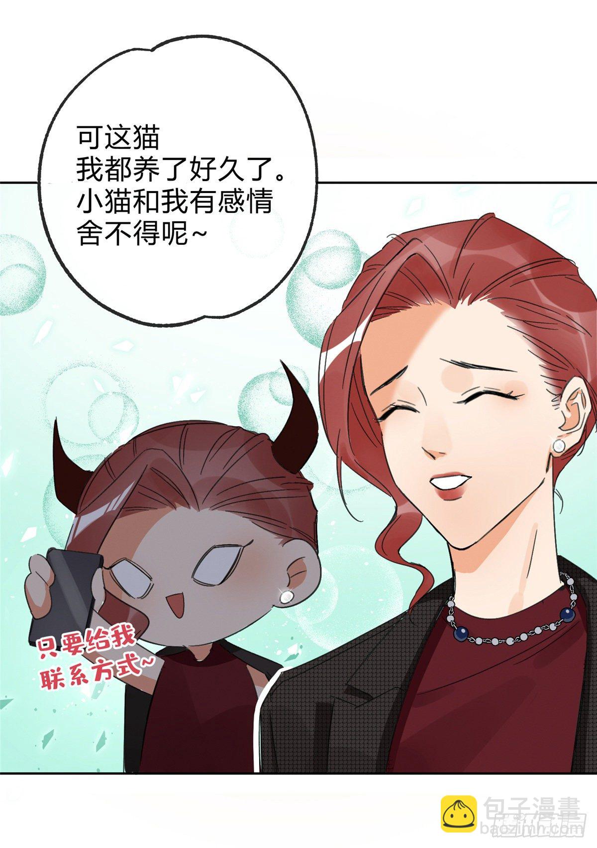 《今天也要努力当只猫》第2话 我来照顾他吧！ 第37页