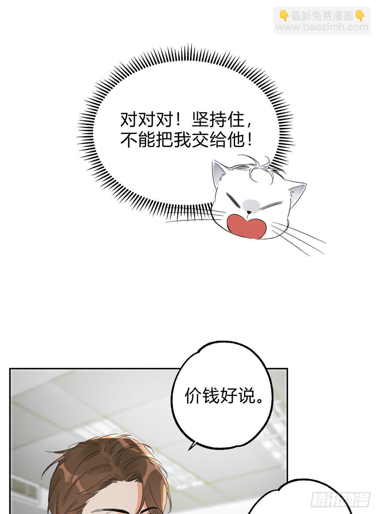《今天也要努力当只猫》第2话 我来照顾他吧！ 第38页