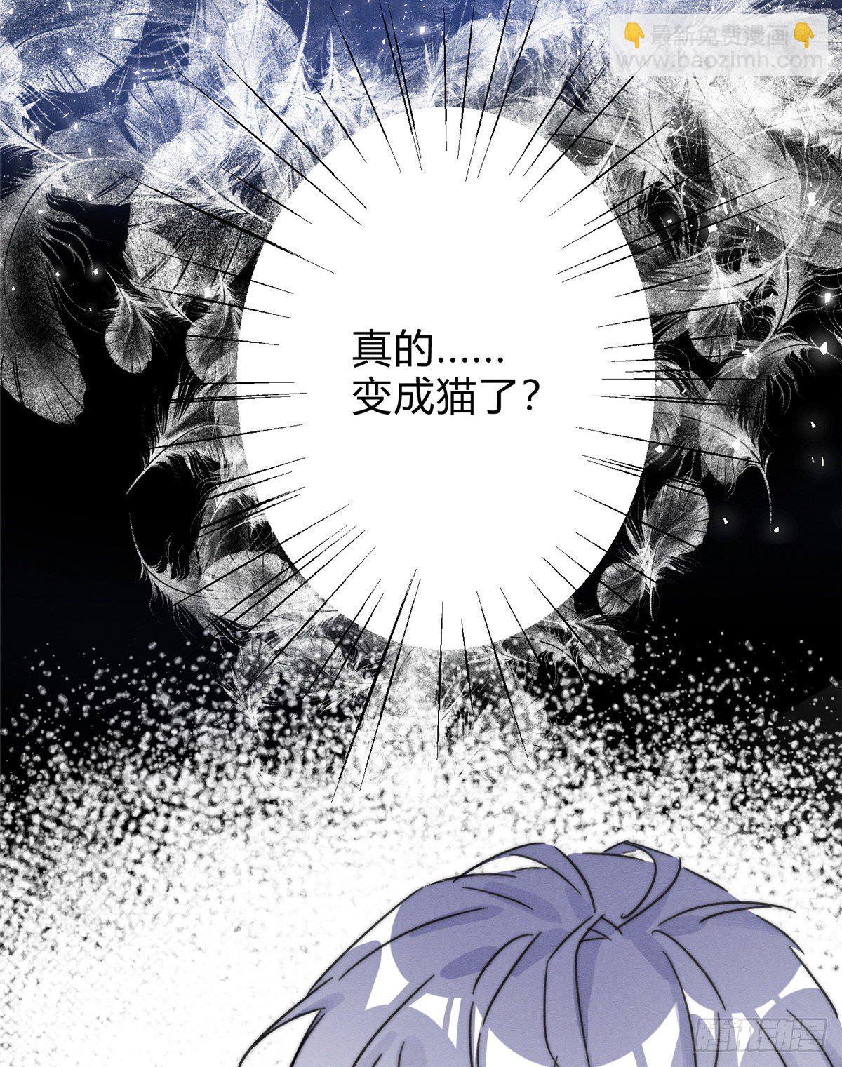 《今天也要努力当只猫》第2话 我来照顾他吧！ 第3页