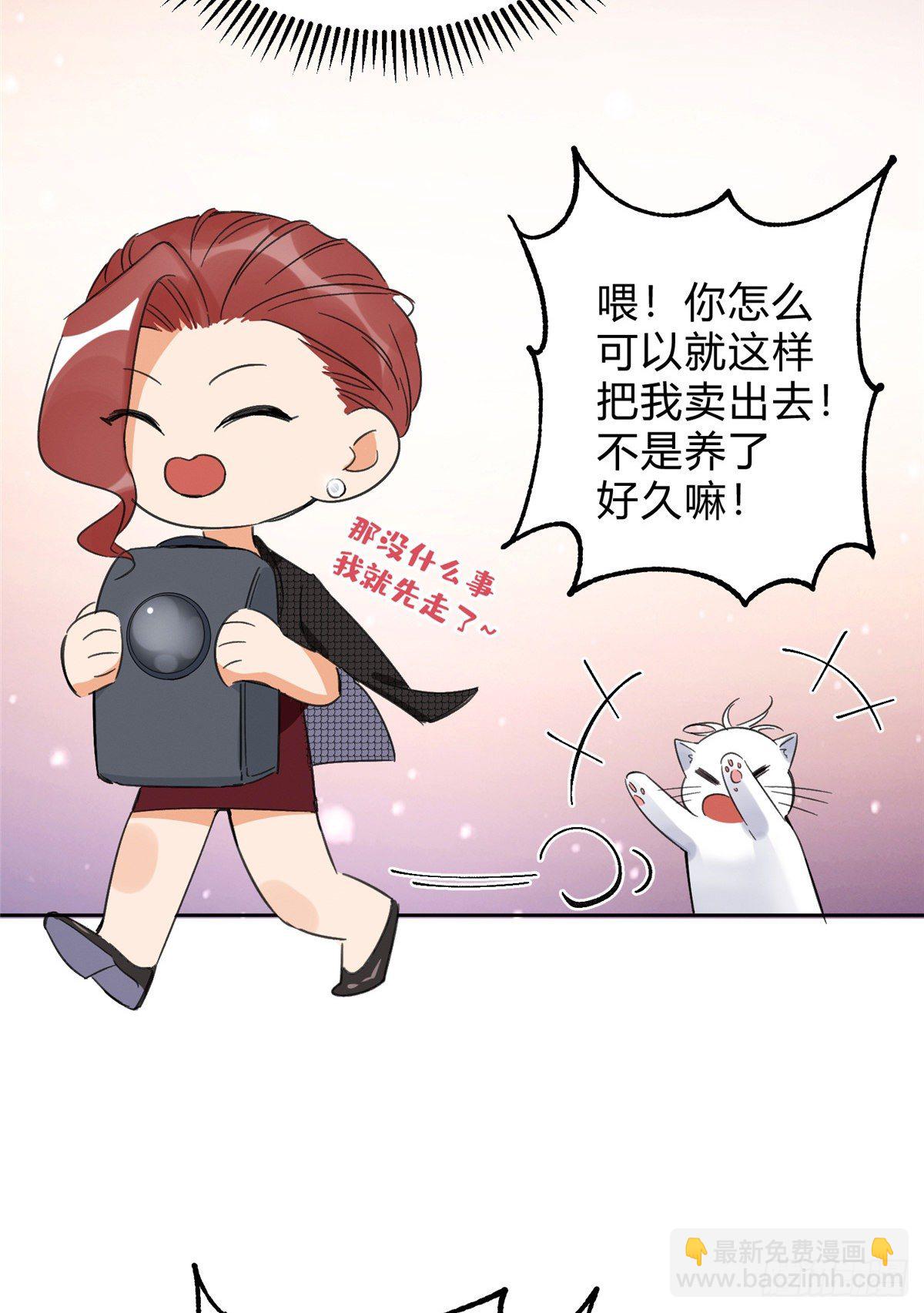 《今天也要努力当只猫》第2话 我来照顾他吧！ 第42页