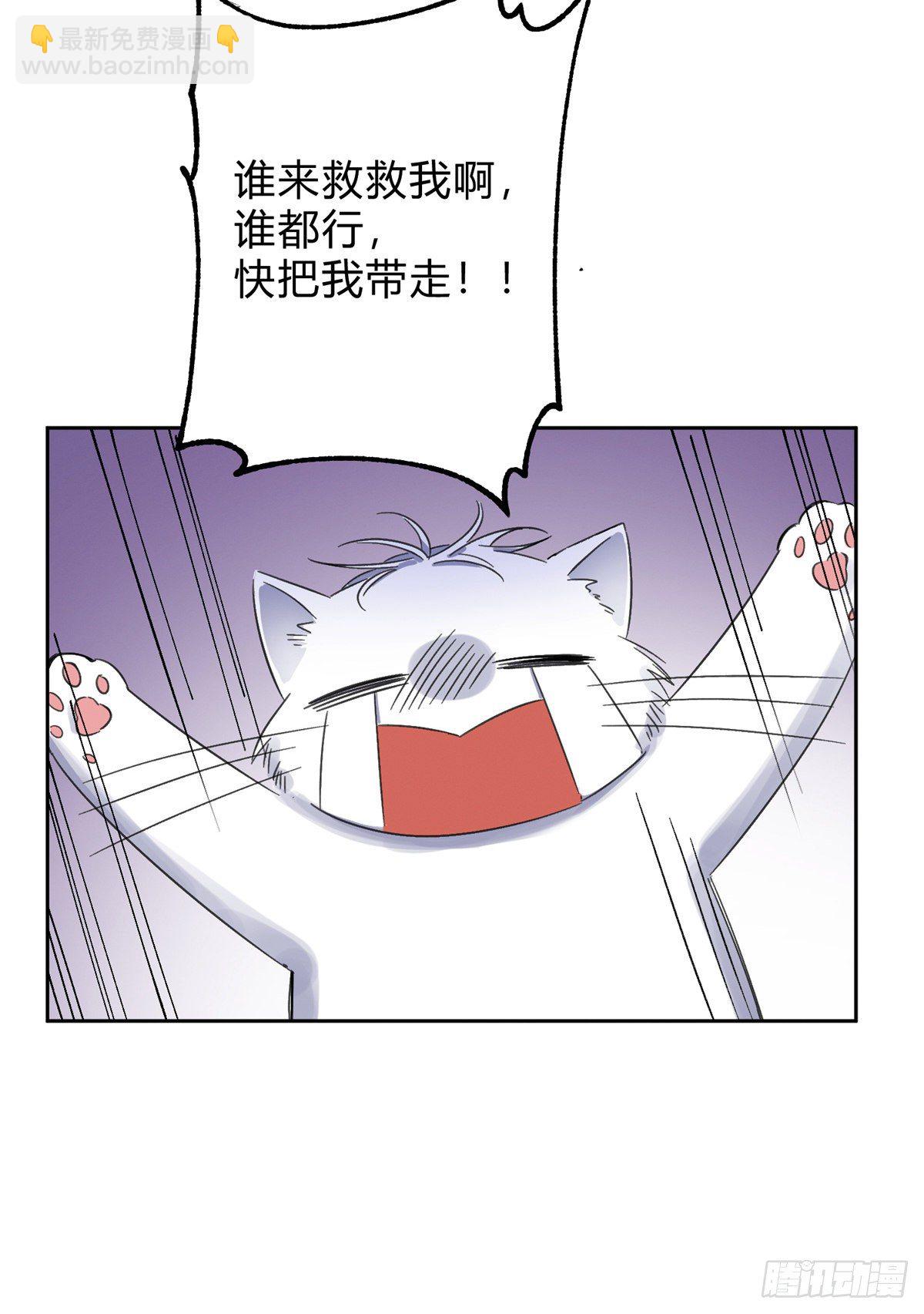 《今天也要努力当只猫》第2话 我来照顾他吧！ 第43页