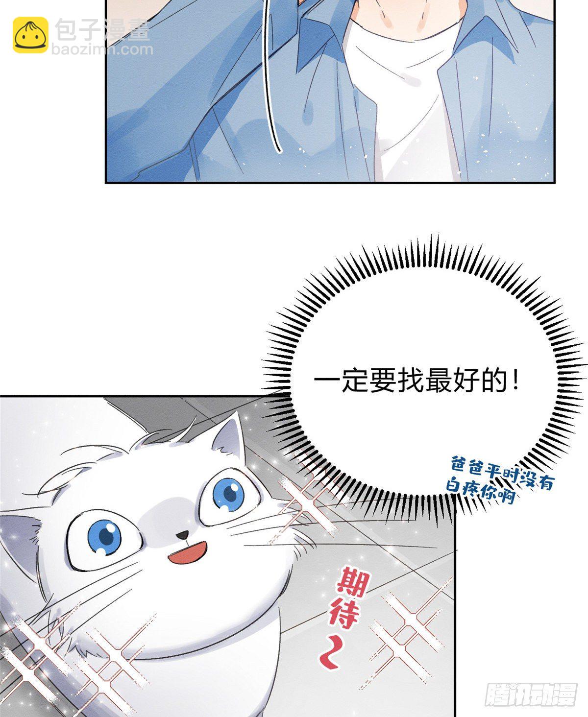 《今天也要努力当只猫》第2话 我来照顾他吧！ 第47页