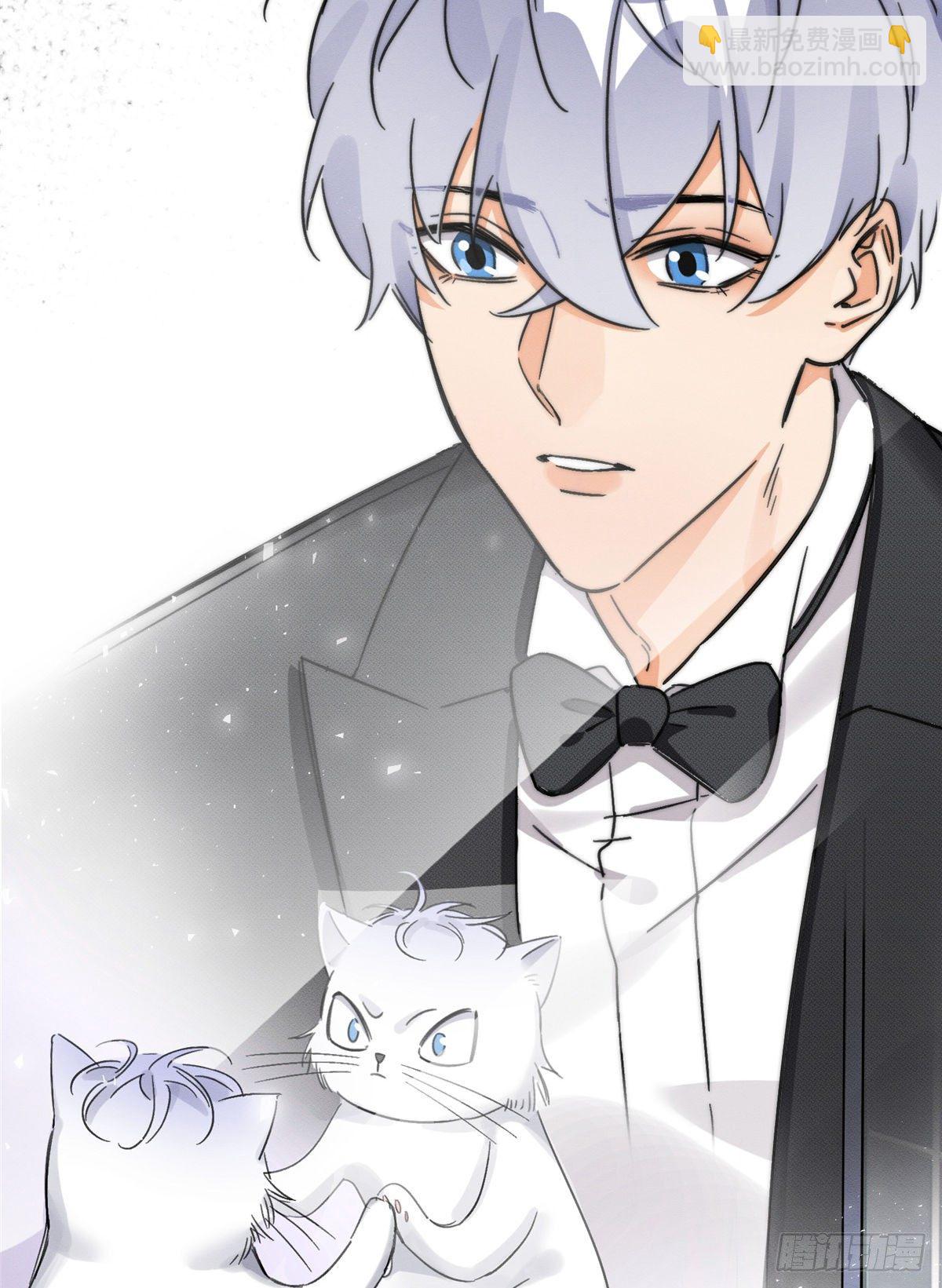 《今天也要努力当只猫》第2话 我来照顾他吧！ 第4页
