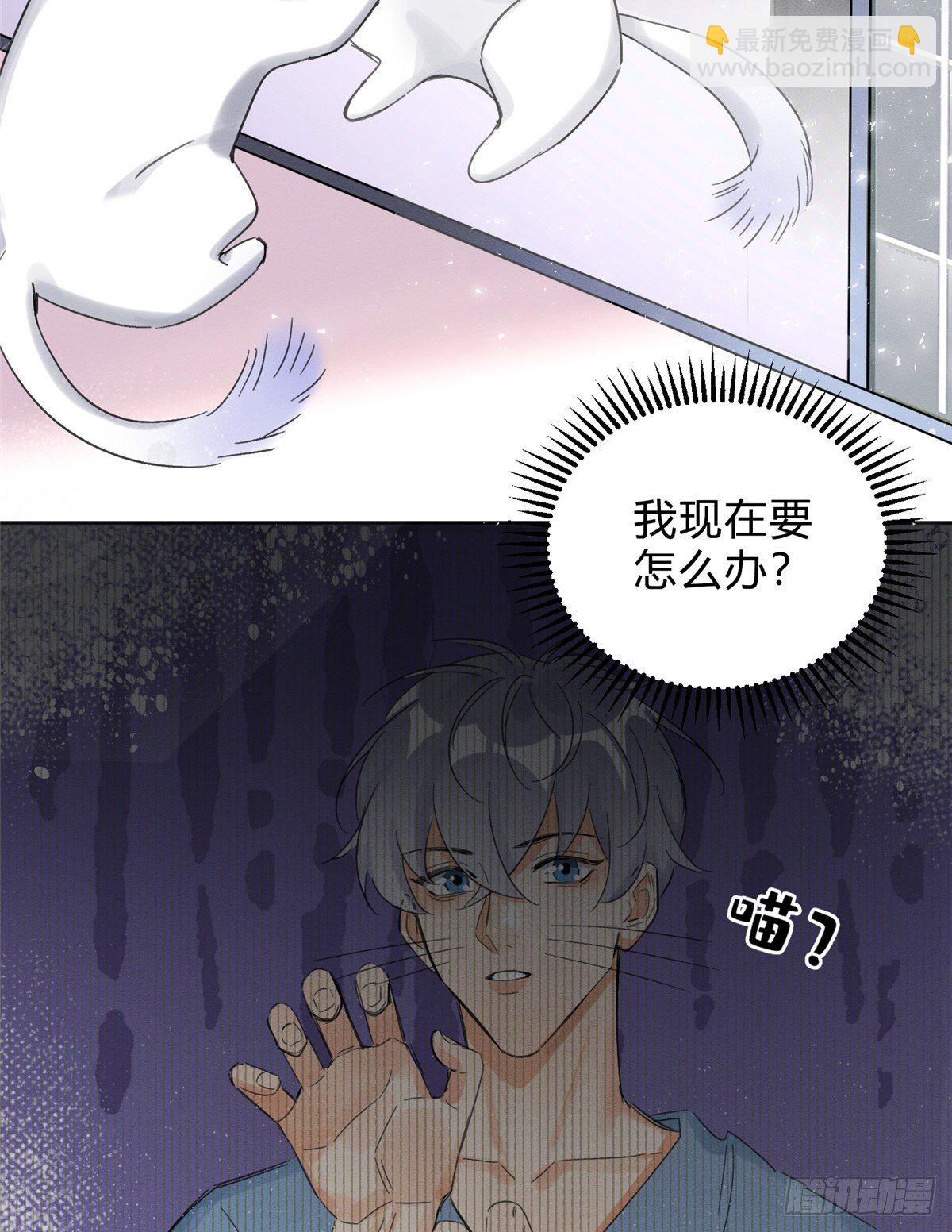 《今天也要努力当只猫》第2话 我来照顾他吧！ 第5页