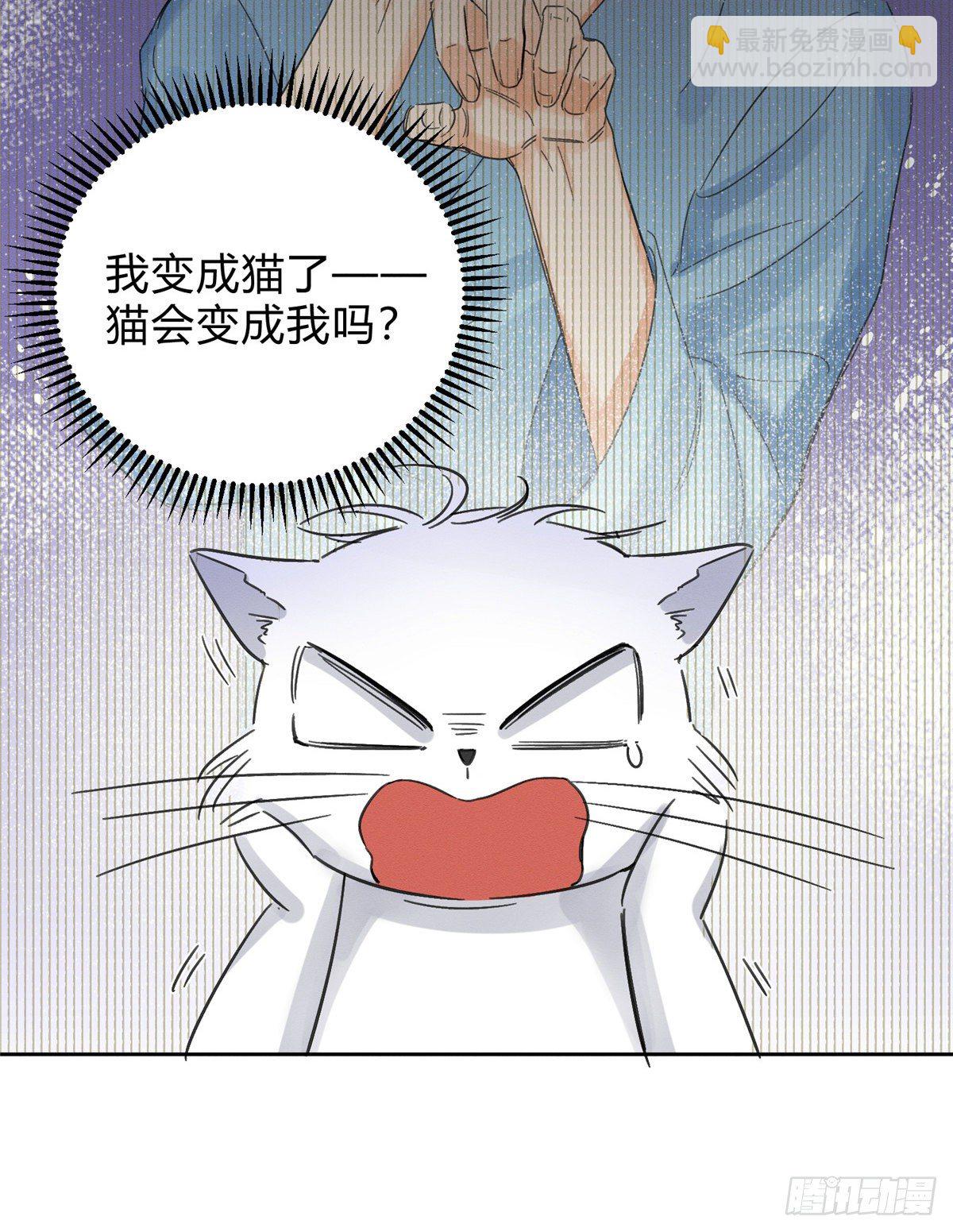 《今天也要努力当只猫》第2话 我来照顾他吧！ 第6页