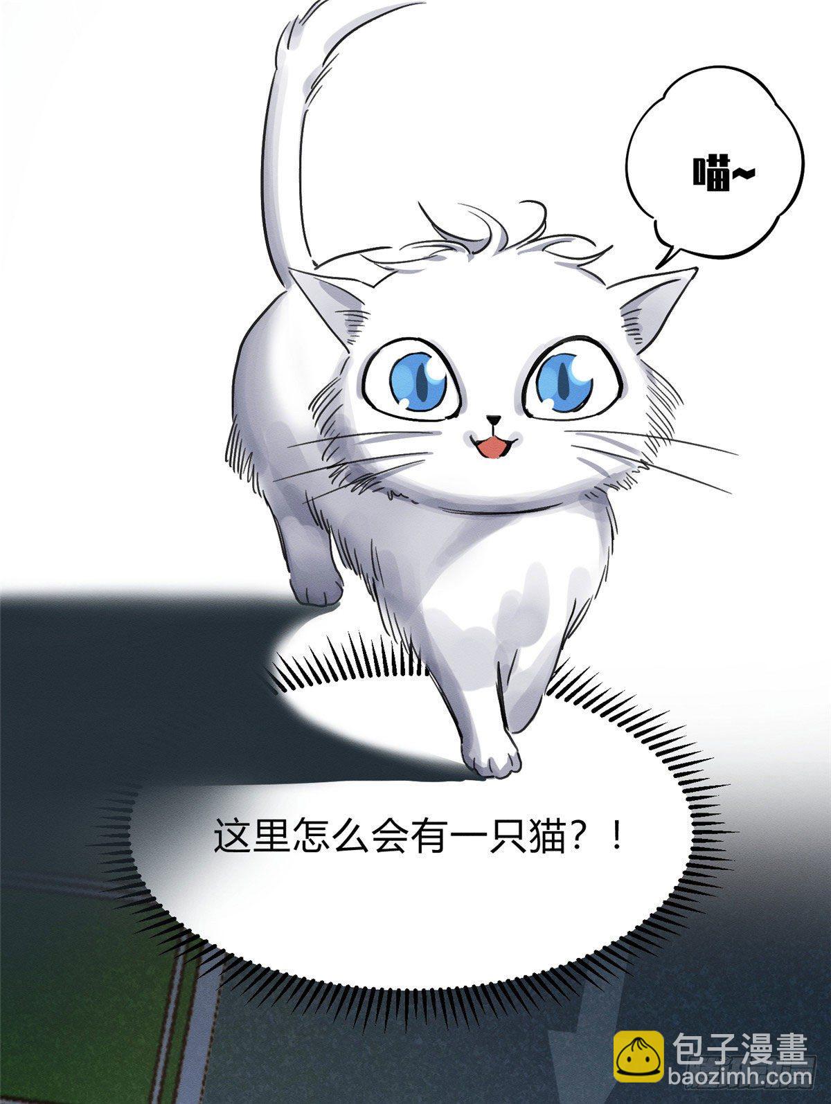 《今天也要努力当只猫》第1话 我变成猫了！ 第40页
