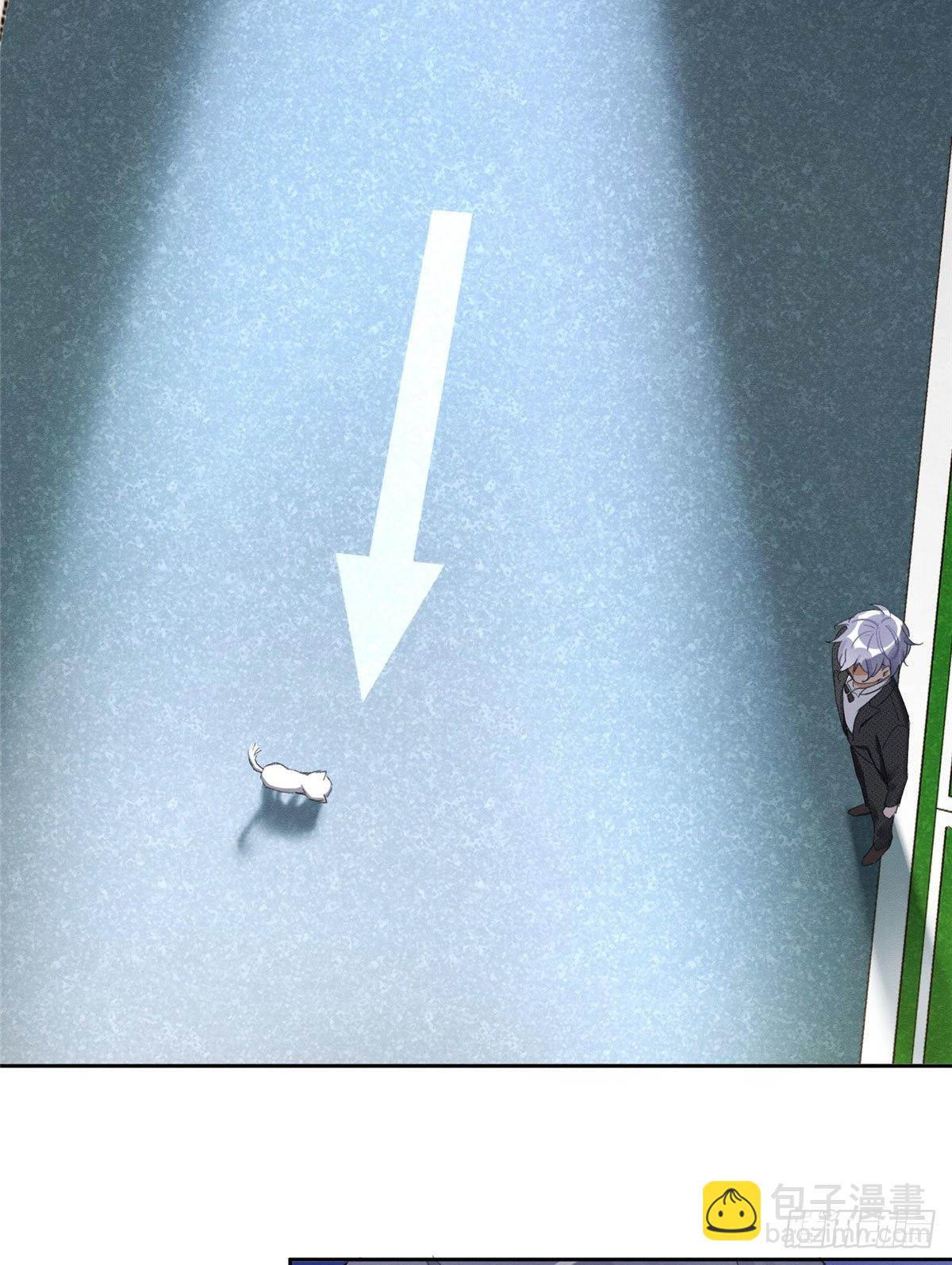 《今天也要努力当只猫》第1话 我变成猫了！ 第42页
