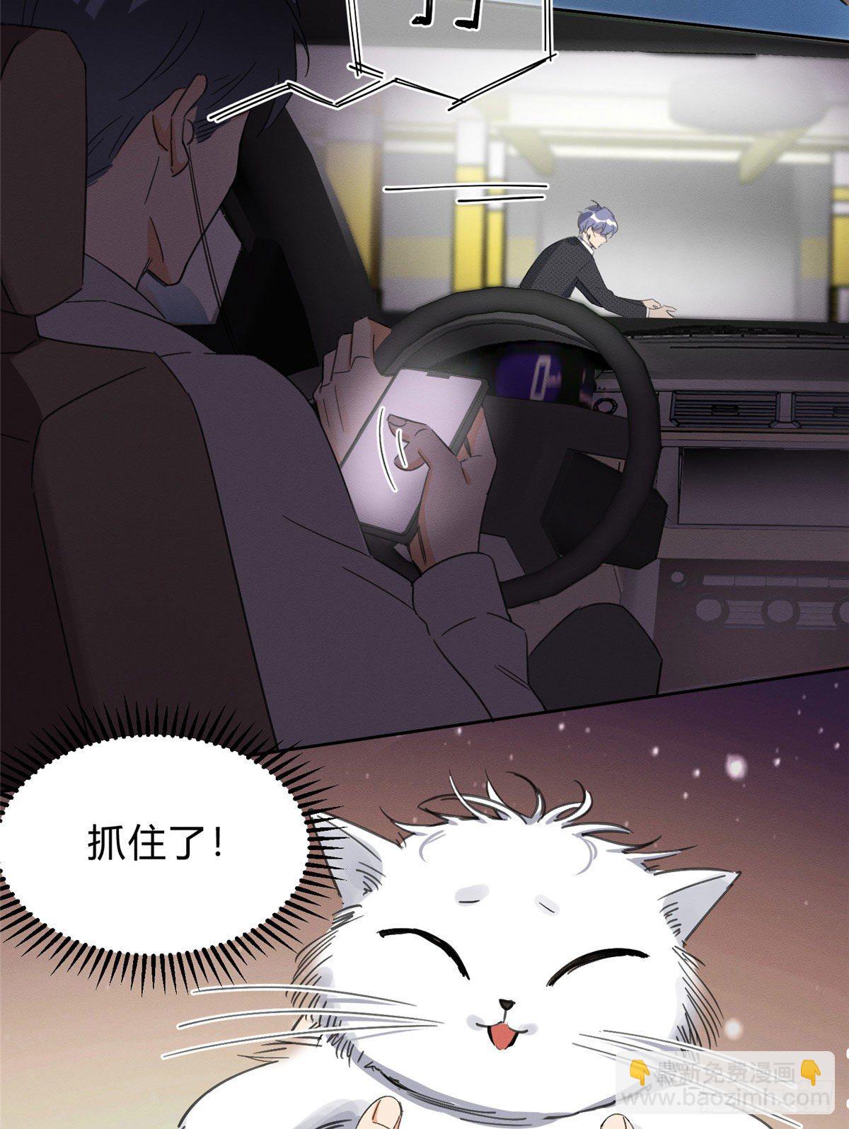 《今天也要努力当只猫》第1话 我变成猫了！ 第45页