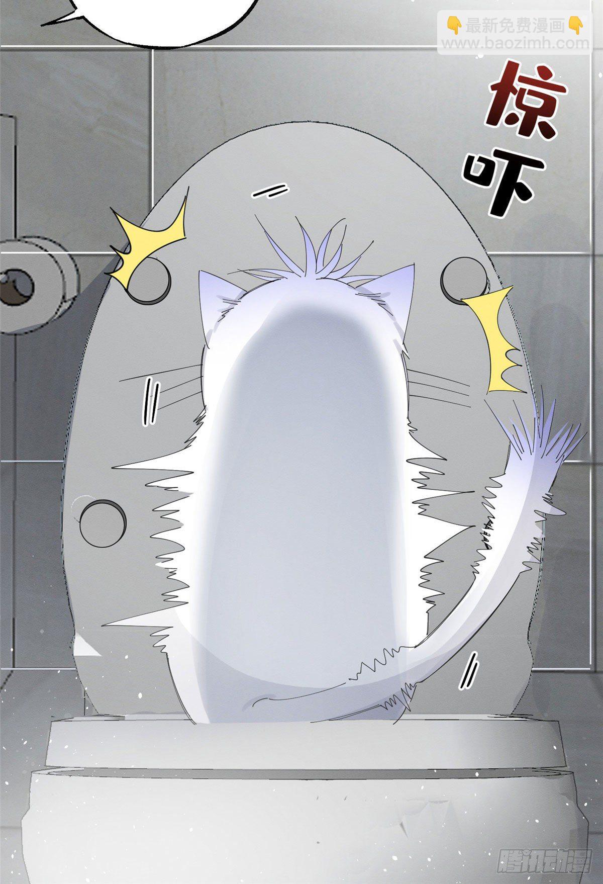 《今天也要努力当只猫》第7话 臭小子？ 第10页