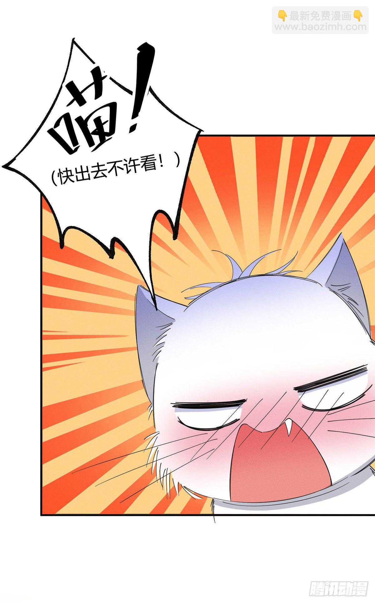 《今天也要努力当只猫》第7话 臭小子？ 第12页