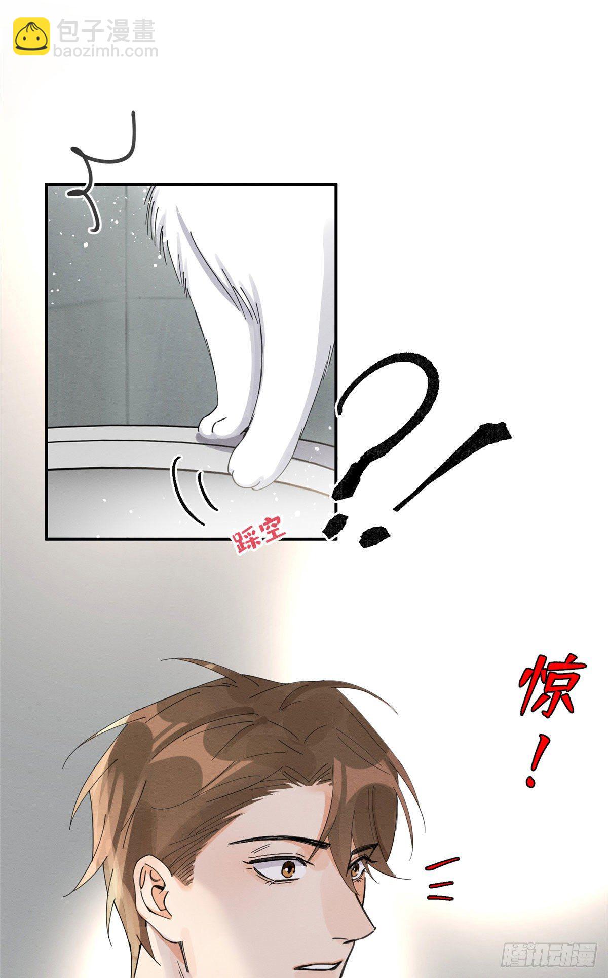 《今天也要努力当只猫》第7话 臭小子？ 第13页