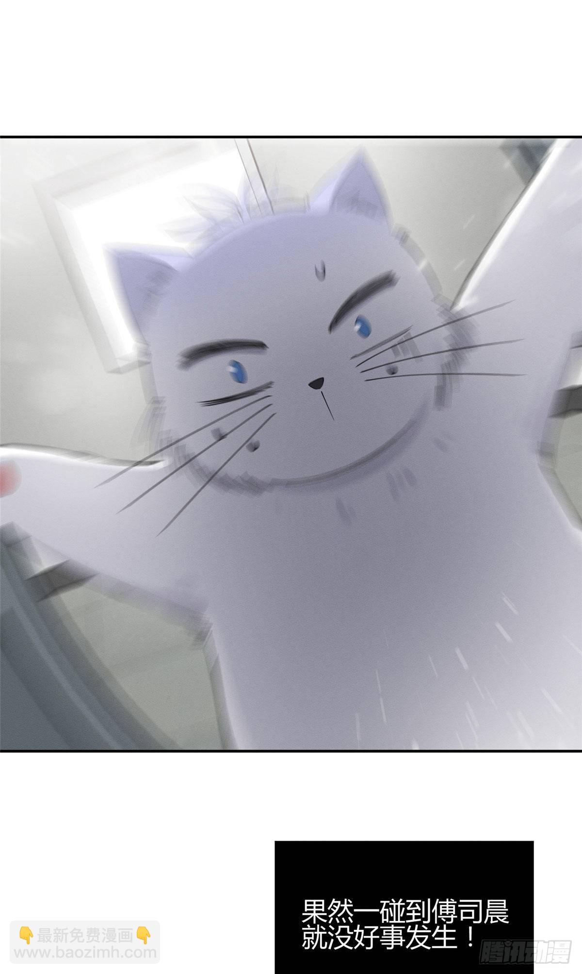 《今天也要努力当只猫》第7话 臭小子？ 第15页
