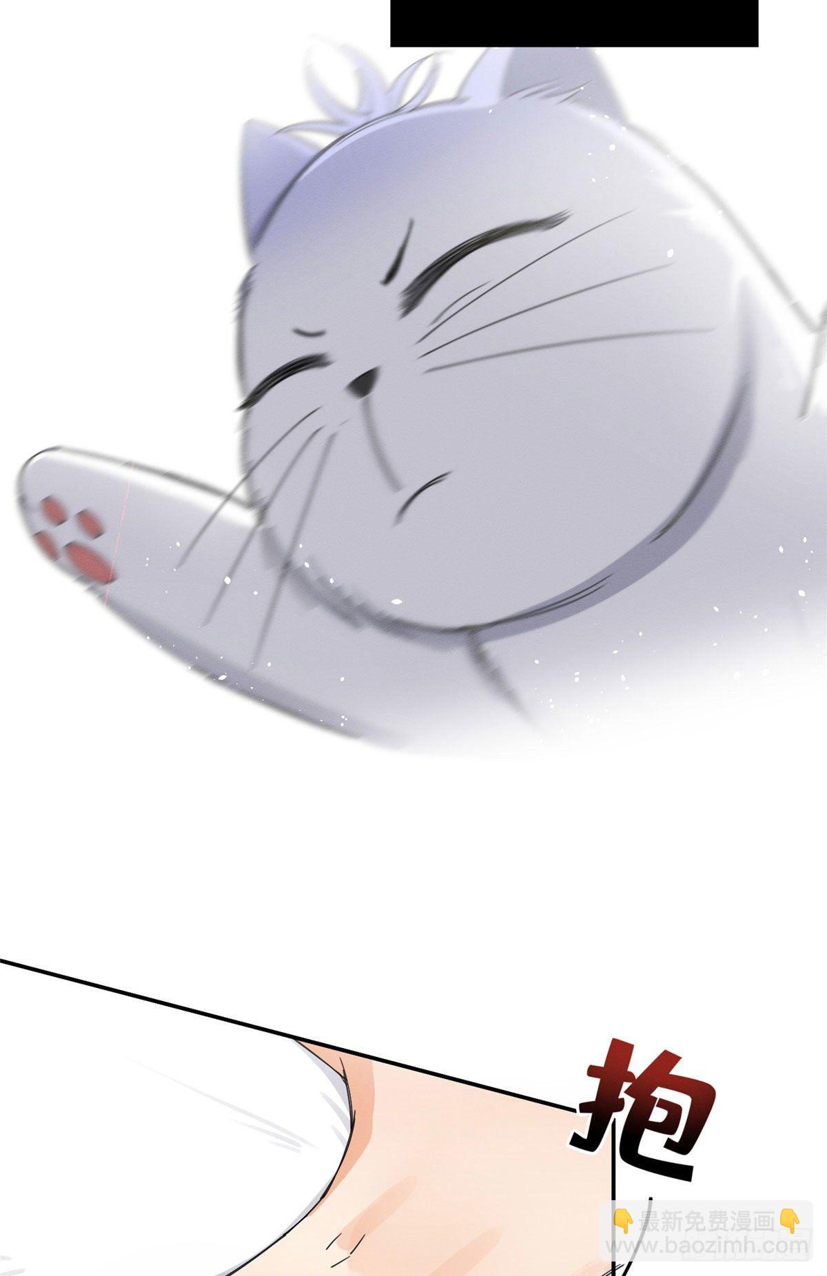 《今天也要努力当只猫》第7话 臭小子？ 第16页