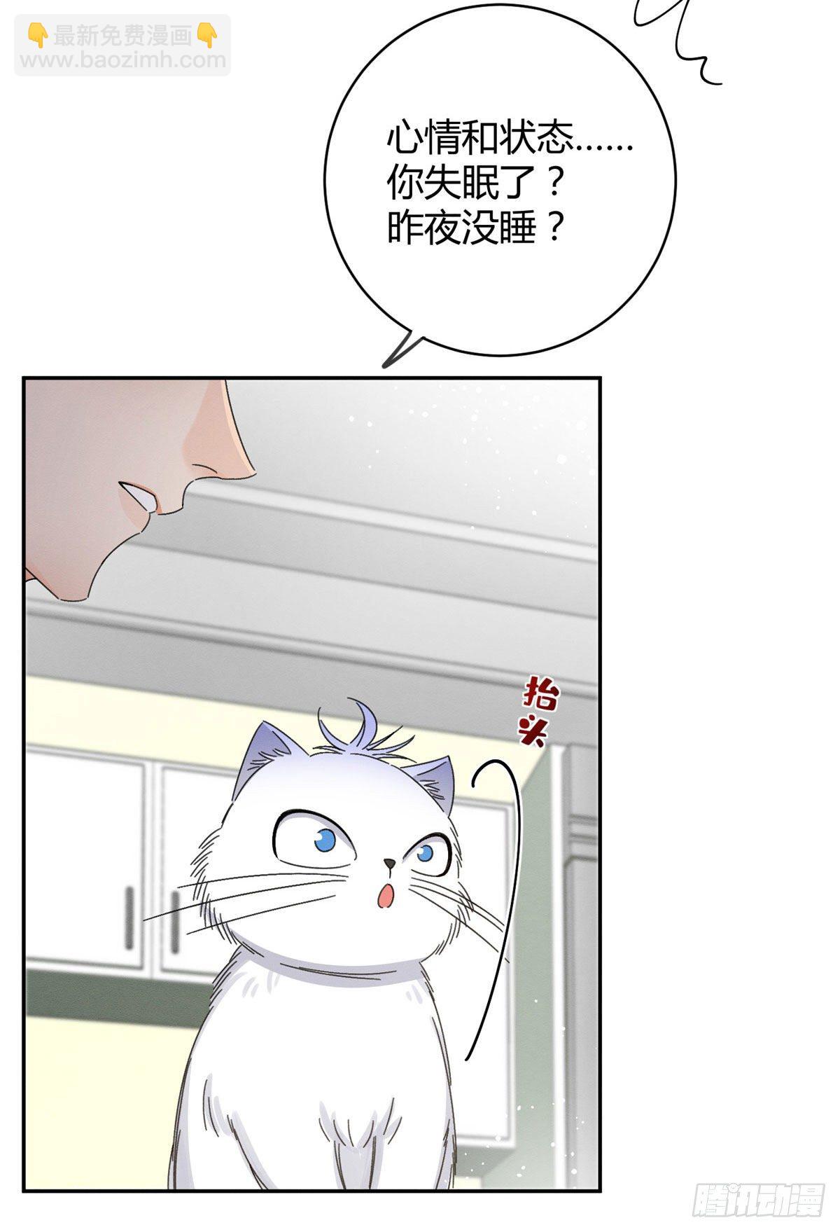 《今天也要努力当只猫》第7话 臭小子？ 第31页